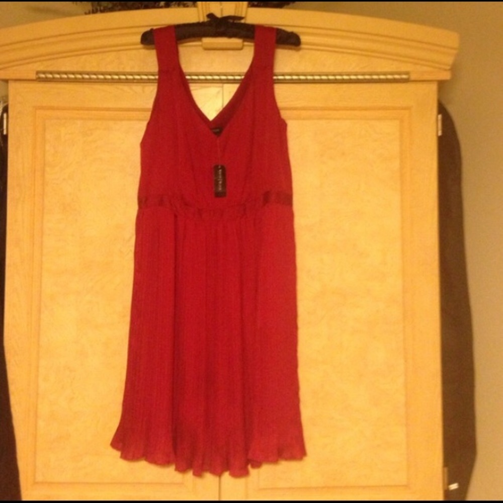 Wine Colored Fancy Dress